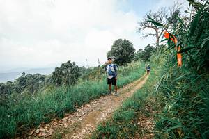 BIB: 
                            <button type="button" onclick="openModal(26039759)" class="btn btn-primary btn-sm float-right btn-popup" data-toggle="modal" data-target=".modal-high-quality">
                        <i class="fas fa-shopping-cart"></i> Add to Cart
                    </button>
                                            <button type="button" onclick="isThisMe(26039759, true)" class="btn btn-success btn-sm float-right btn-popup btn-isme hidden" data-toggle="tooltip" data-placement="bottom" title="นี่คือรูปของคุณใช่ไหม คลิกที่นี่เพื่อเอาเข้าอัลบั้ม">
                        <i class="fas fa-plus"></i> Add to album
                    </button>
                    <button type="button" onclick="isThisMe(26039759, false)" class="btn btn-warning btn-sm float-right btn-popup btn-isnotme hidden">
                        <i class="fas fa-ban"></i> Remove from album
                    </button>